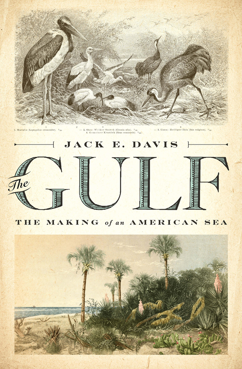 Jack E. Davis: The Gulf (Hardcover, 2017, Liveright Publishing)
